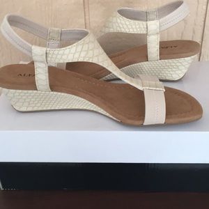 ✨New Alfani Shoes!✨